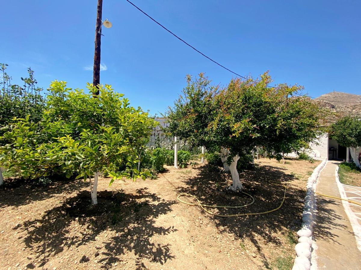 Michail Suites Afiartis Karpathos المظهر الخارجي الصورة
